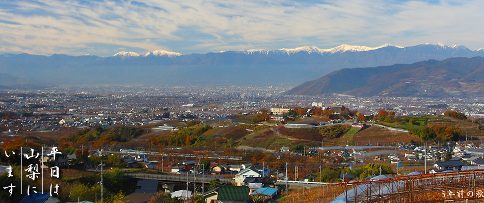 cropped-115201011-1.jpg